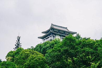 《塞尔达无双：封印战纪》数字版容量42.7G 11月6日发售